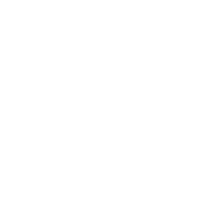 team of professionals